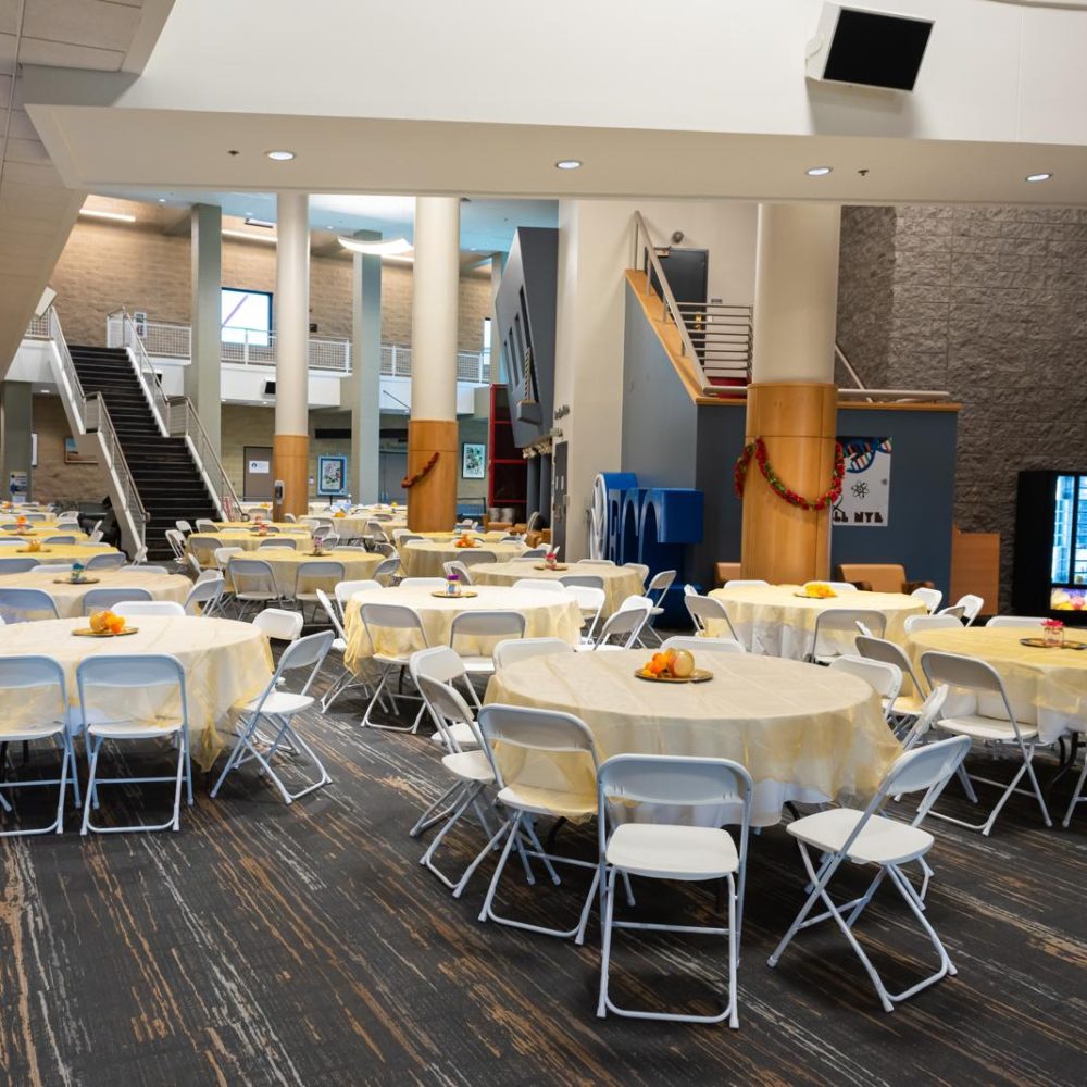 d3f21df4-0526-470d-a871-5ab845e678f9