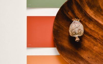 pexels-eva-bronzini-6569107